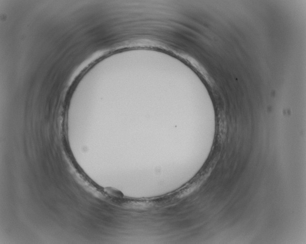 X0000082691134200702232157