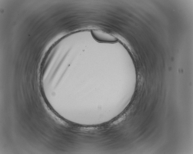 X0000082691135200702232157