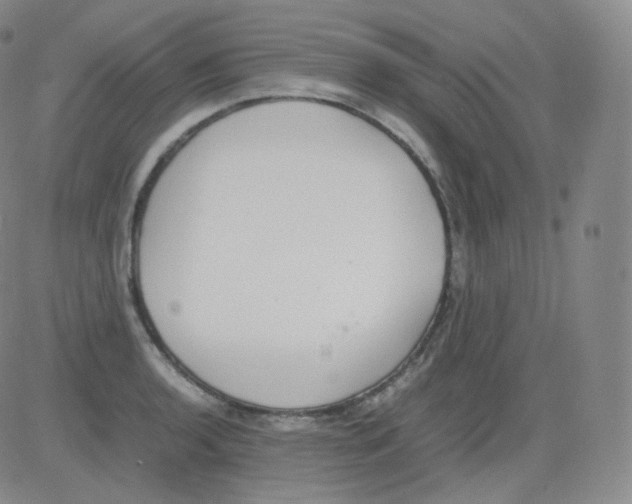 X0000082691136200702232157