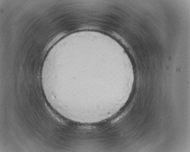 X0000082691137200702232157