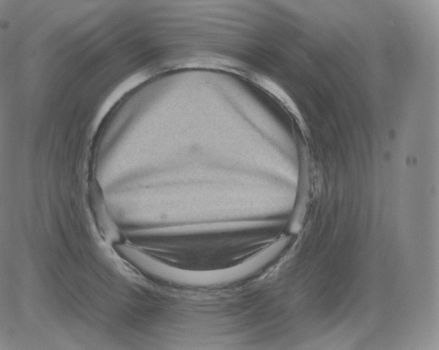 X0000082691138200702232157