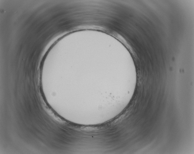 X0000082691140200702232157