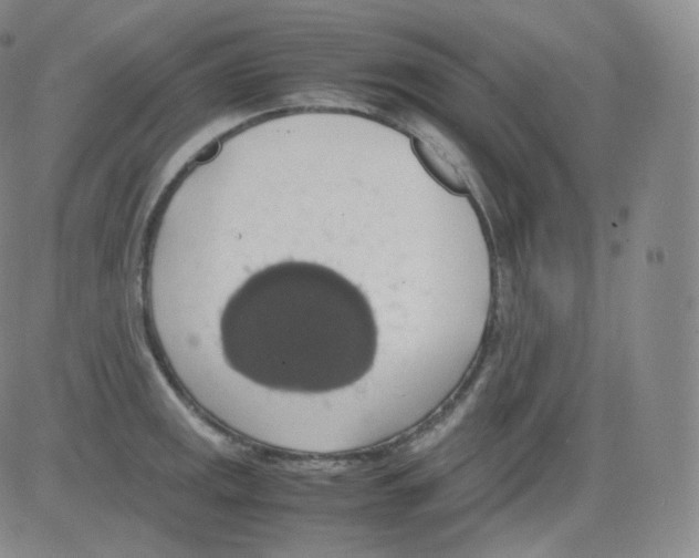 X0000082691141200702232157