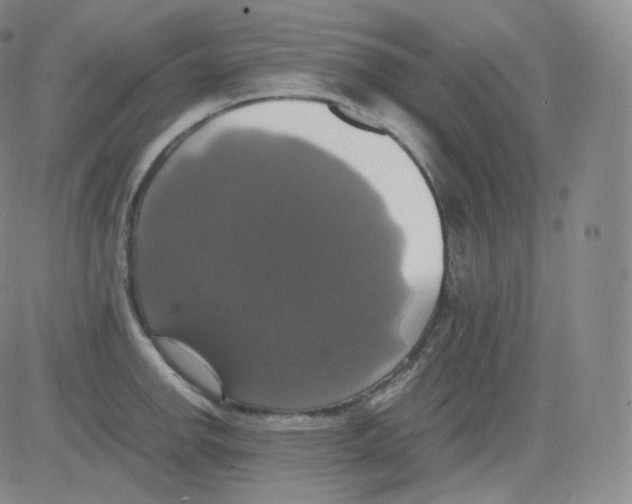 X0000082691142200702232157