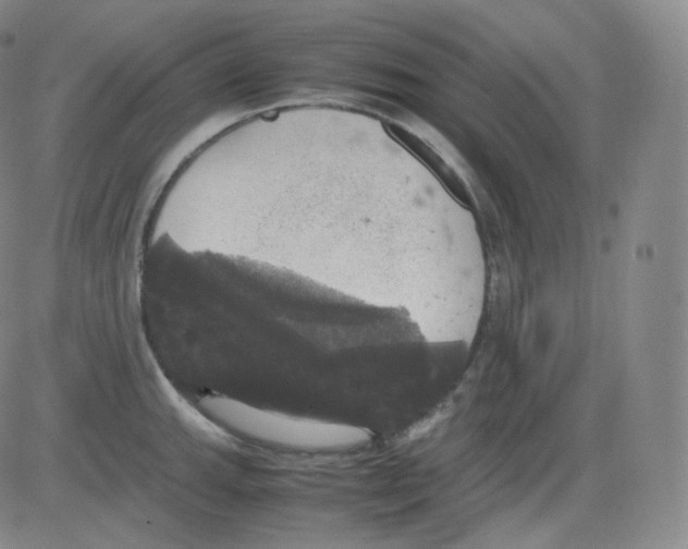 X0000082691143200702232157