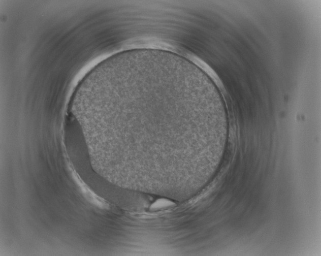 X0000082691144200702232157