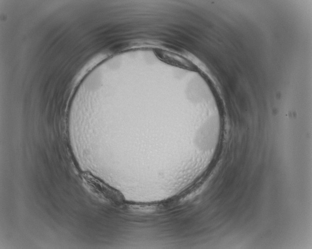 X0000082691145200702232157