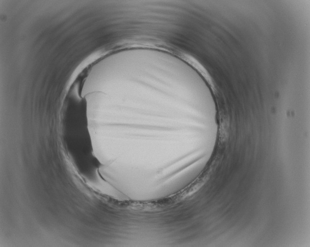 X0000082691146200702232157