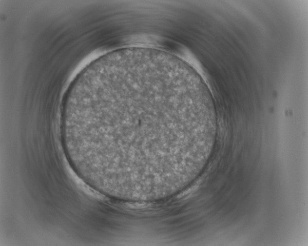 X0000082691147200702232157