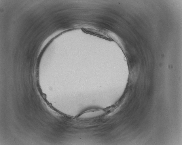 X0000082691149200702232157