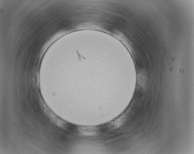 X0000082691150200702232157