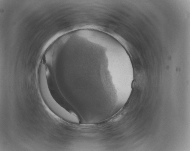 X0000082691151200702232157