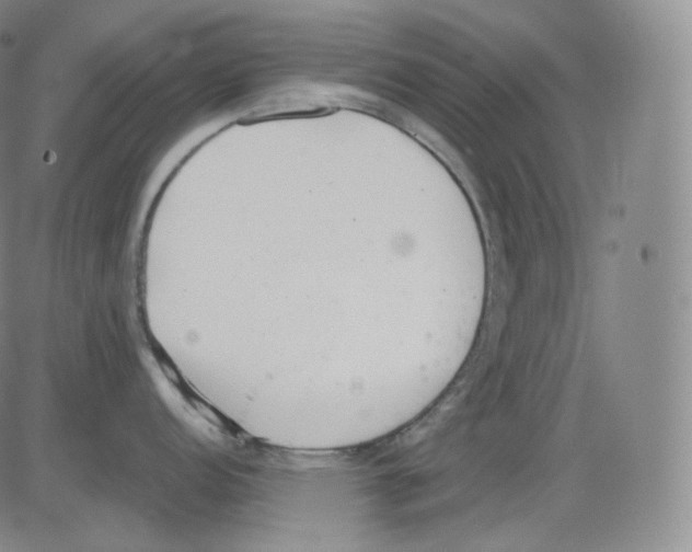 X0000082691152200702232157