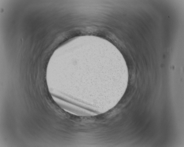 X0000082691153200702232157