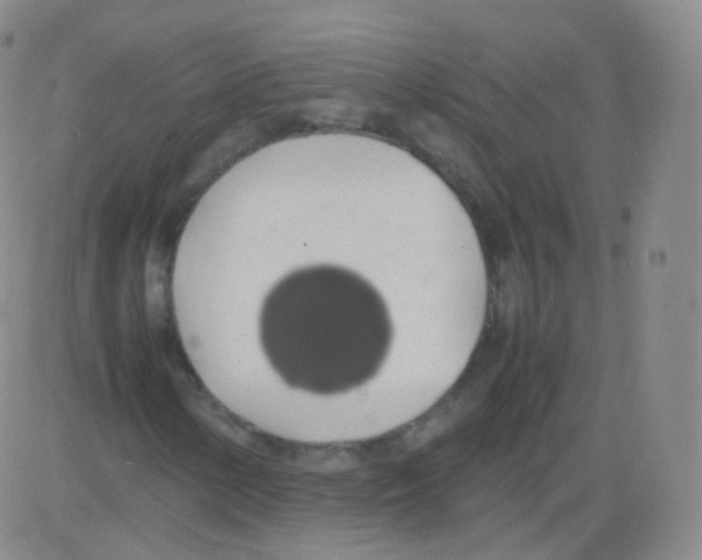 X0000082691154200702232157