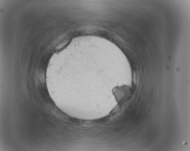 X0000082691155200702232157