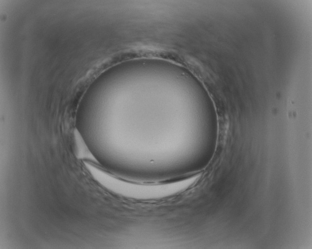 X0000082691157200702232157