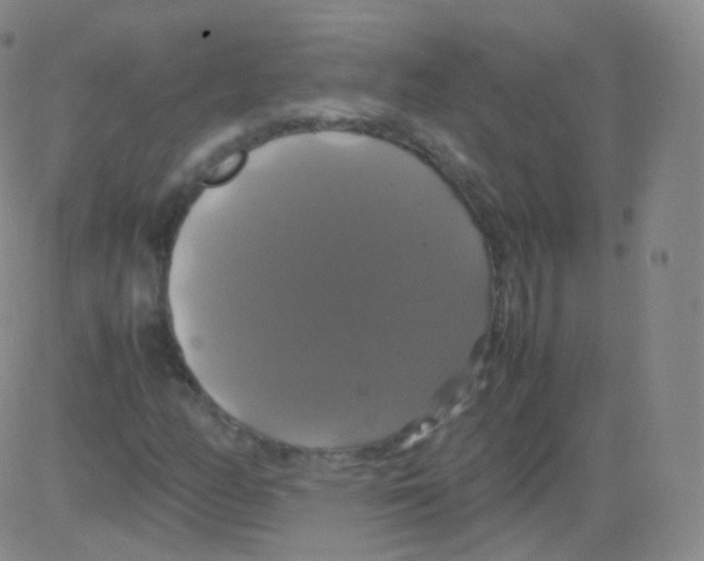 X0000082691158200702232157