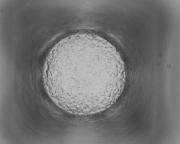 X0000082691159200702232157