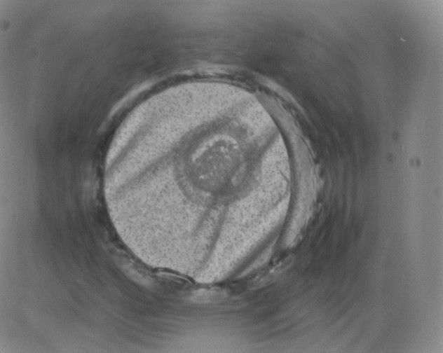 X0000082691160200702232157