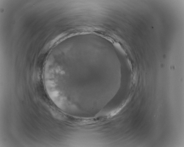 X0000082691161200702232157