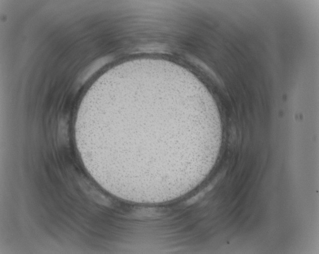 X0000082691162200702232157