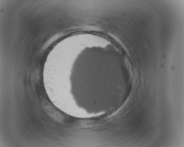 X0000082691163200702232157