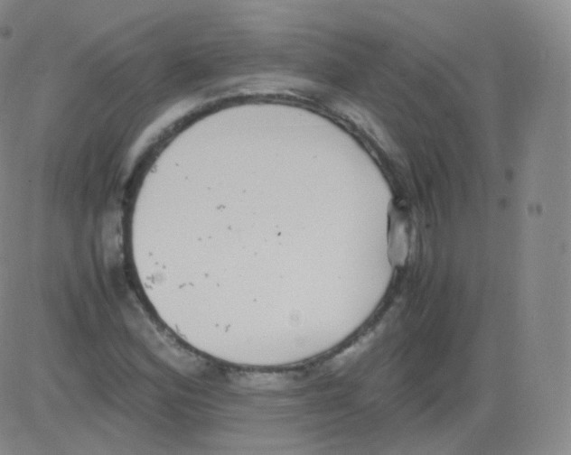 X0000082691164200702232156