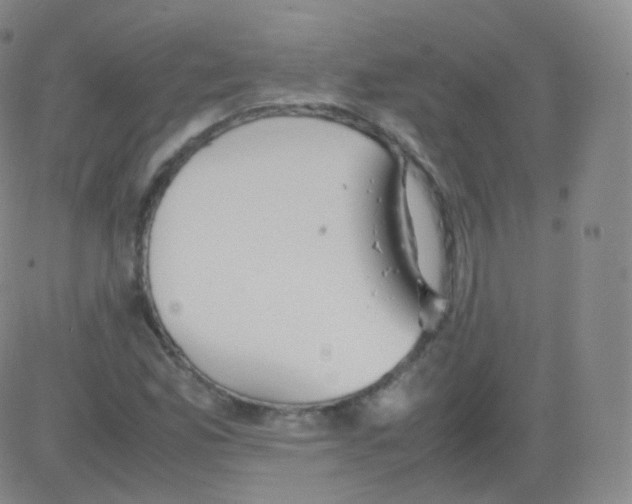 X0000082691165200702232156