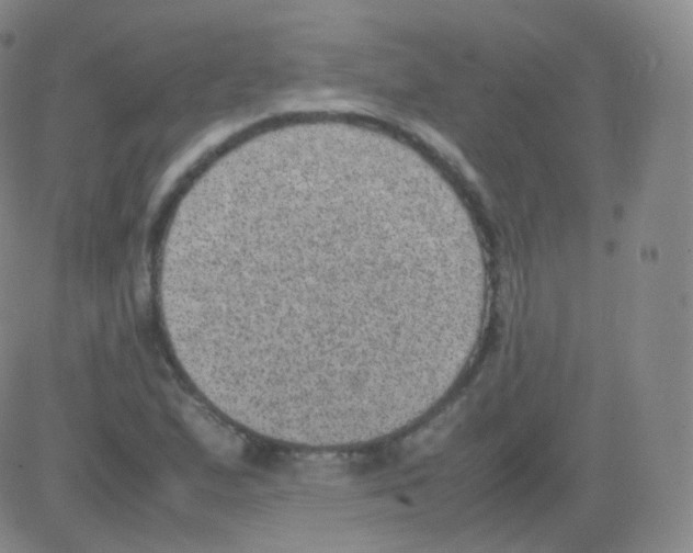 X0000082691167200702232156