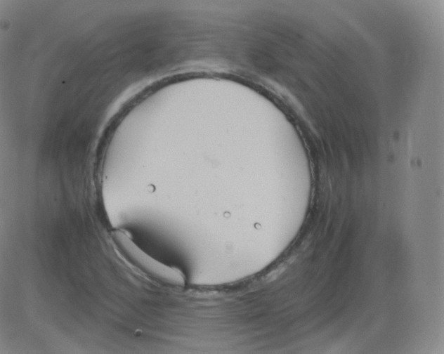 X0000082691168200702232156