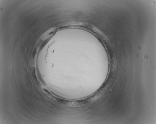 X0000082691169200702232156