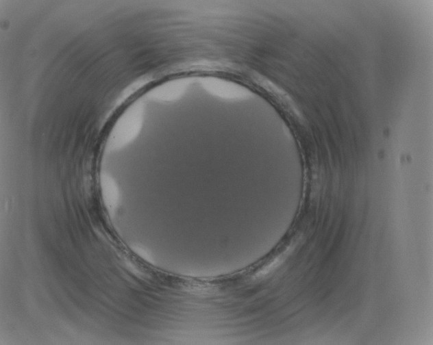 X0000082691170200702232156