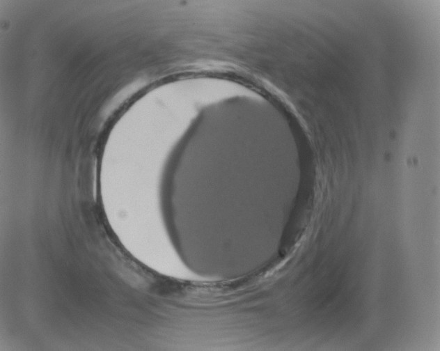 X0000082691171200702232156