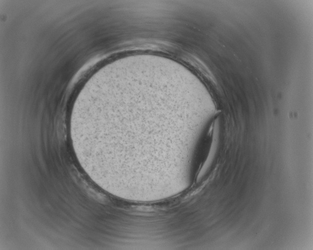 X0000082691172200702232156