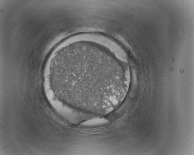 X0000082691173200702232156