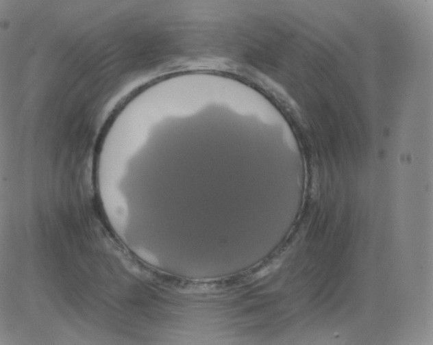 X0000082691174200702232156