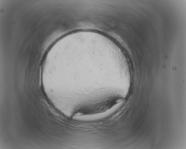 X0000082691175200702232156