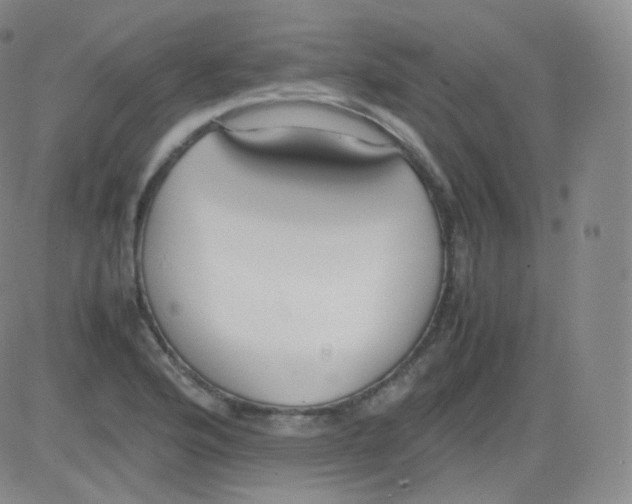 X0000082691176200702232156