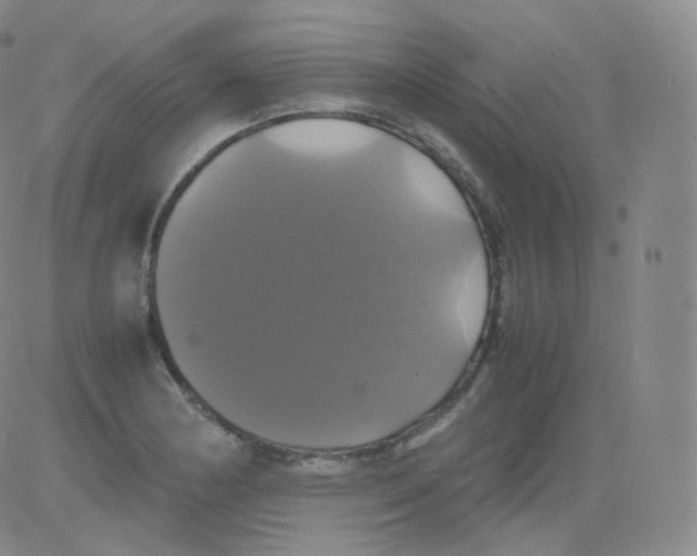 X0000082691178200702232156