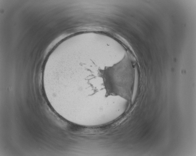 X0000082691179200702232156