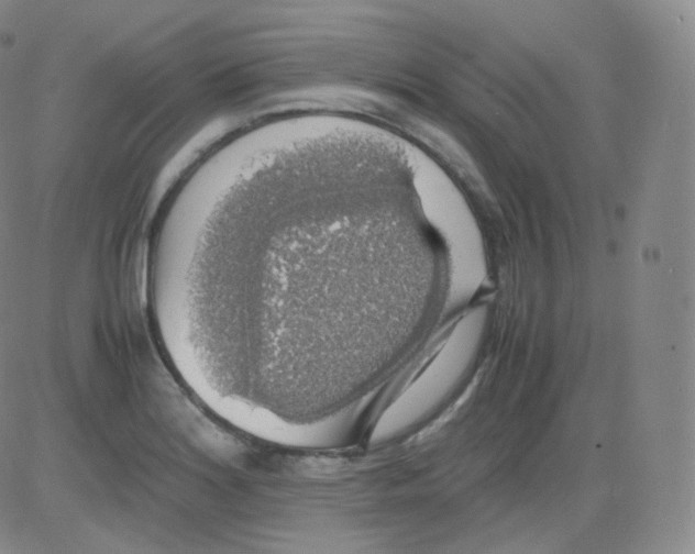 X0000082691180200702232156