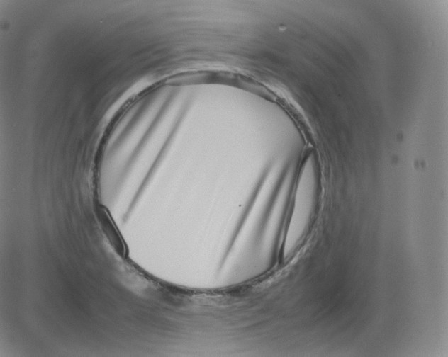 X0000082691181200702232156