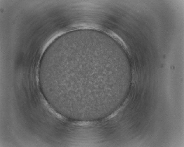 X0000082691182200702232156