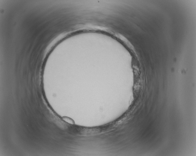 X0000082691183200702232156