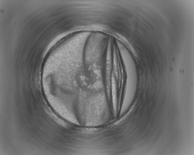 X0000082691184200702232156