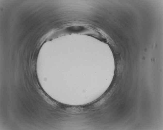 X0000082691185200702232156