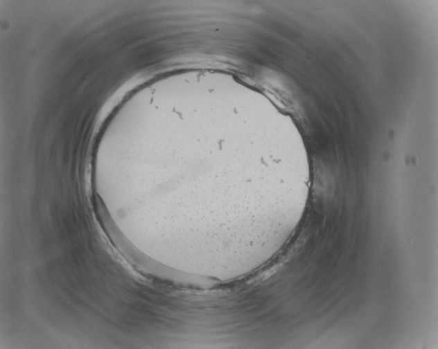 X0000082691188200702232156