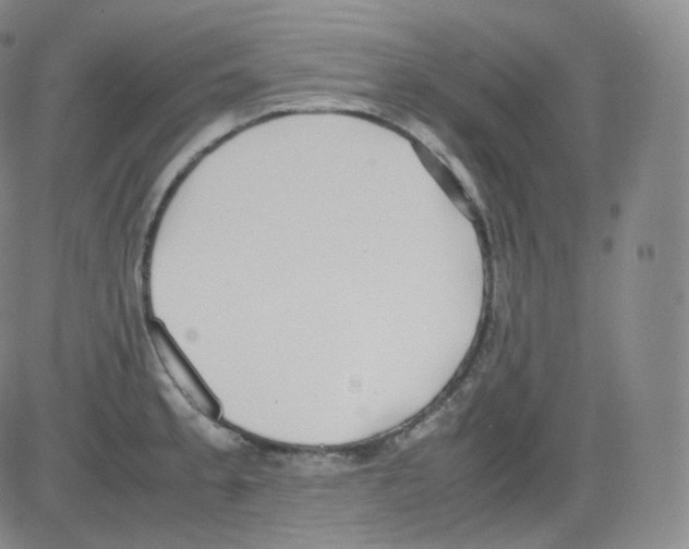 X0000082691189200702232156