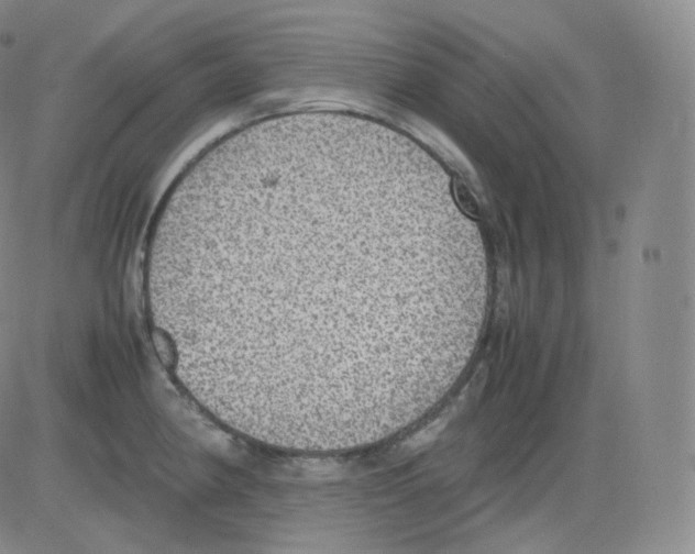 X0000082691190200702232156